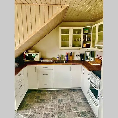 Bird Heaven Apartment