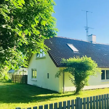 Bird Heaven